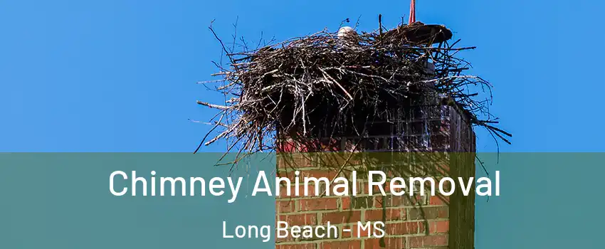  Chimney Animal Removal Long Beach - MS