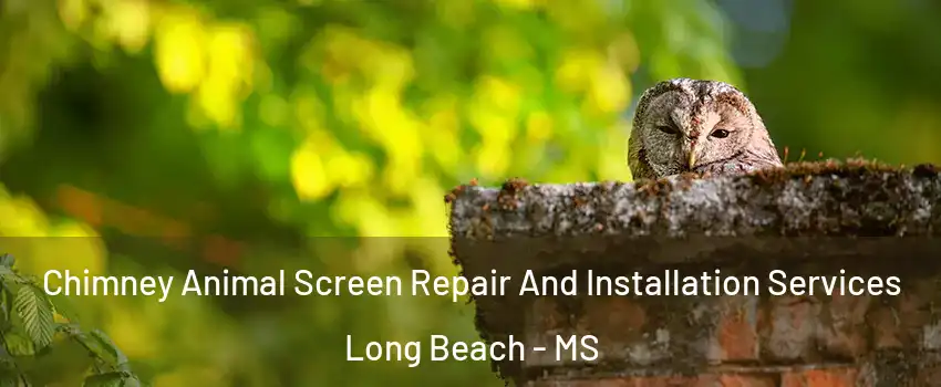  Chimney Animal Screen Repair And Installation Services Long Beach - MS