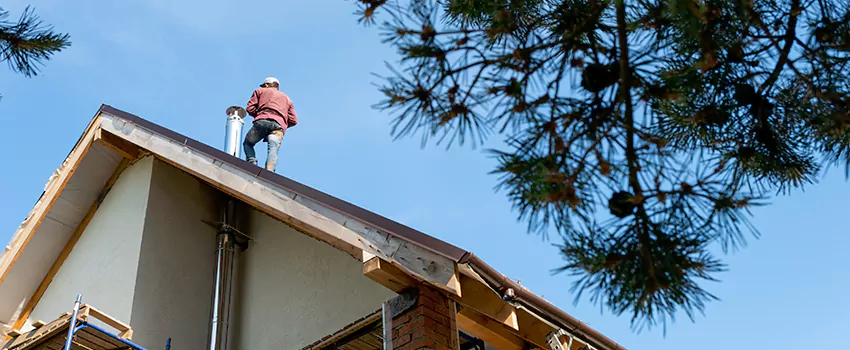 Birds Removal Contractors from Chimney in Long Beach, MS
