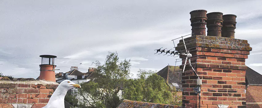 Chimney Cleaning And Restoration in Long Beach, Mississippi